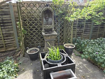 Picture 11